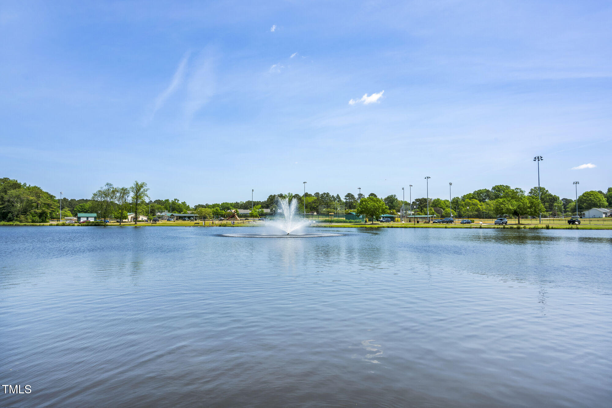 248 Alice Trace Place Angier, NC 27501 - Photo 23 of 32 a view of a lake with houses in the back