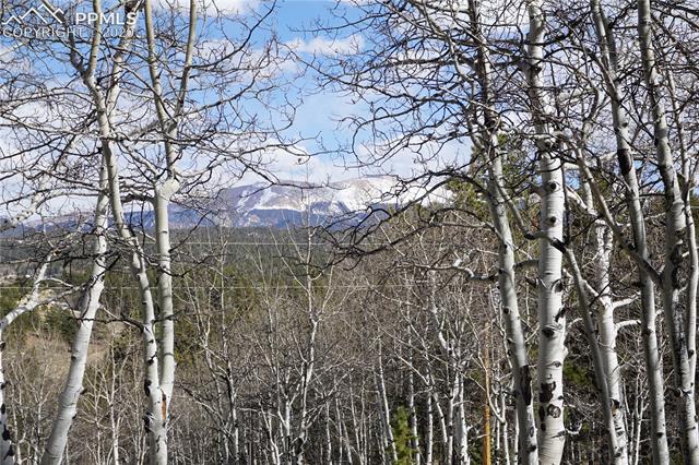 181 Berylium Road Florissant, CO 80816 - Photo 10 of 13 Gallery Image 10