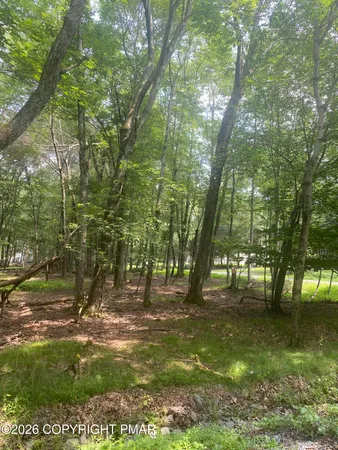 $29,000 | 6003 Scenic Drive, Albrightsville, PA 18210