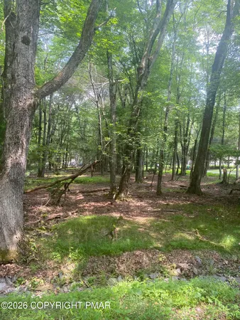$29,000 | 6003 Scenic Drive, Albrightsville, PA 18210