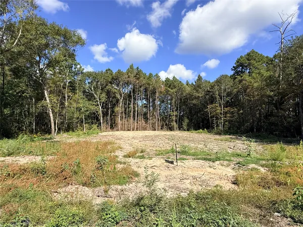 $59,000 | 11249 Wildwood Lane, Plantersville, TX 77363