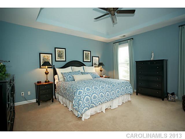 341 Elis Way Fort Mill, SC 29708 - Photo 9 of 16