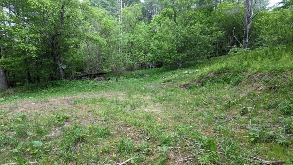 0 Button Hill Road South Royalton, VT 05068 - Photo 1 of 4