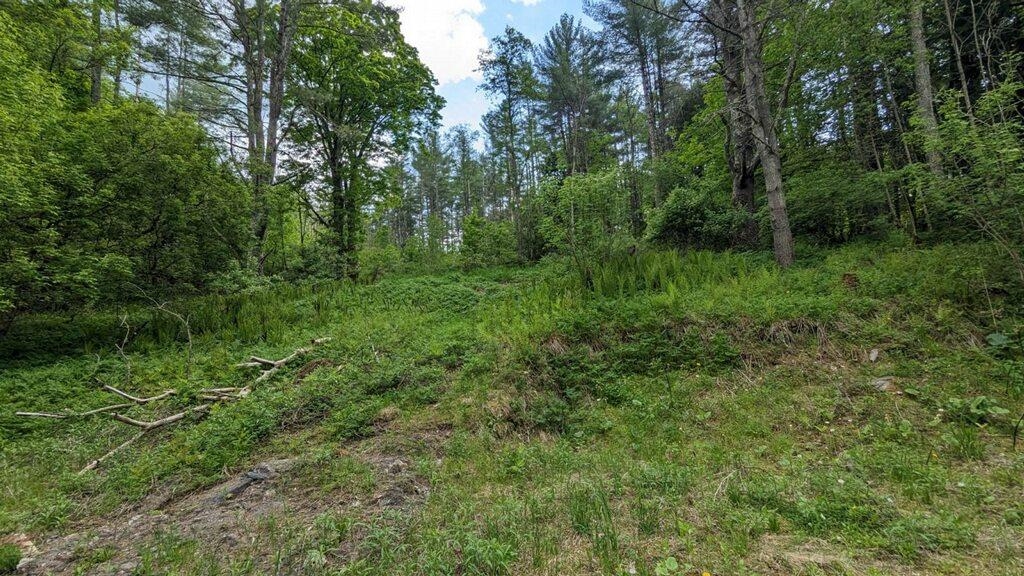 0 Button Hill Road South Royalton, VT 05068 - Photo 2 of 4