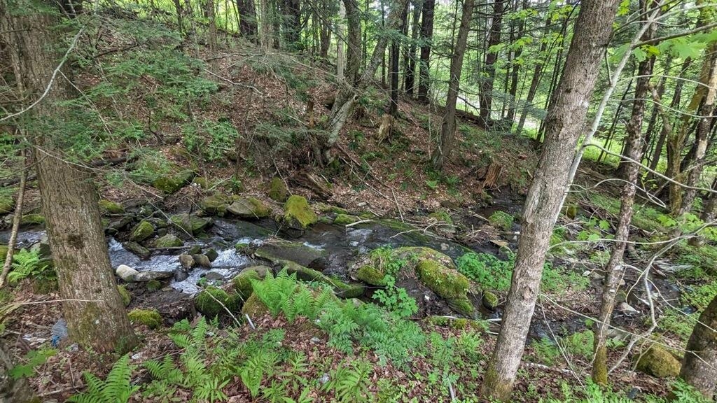 0 Button Hill Road South Royalton, VT 05068 - Photo 4 of 4