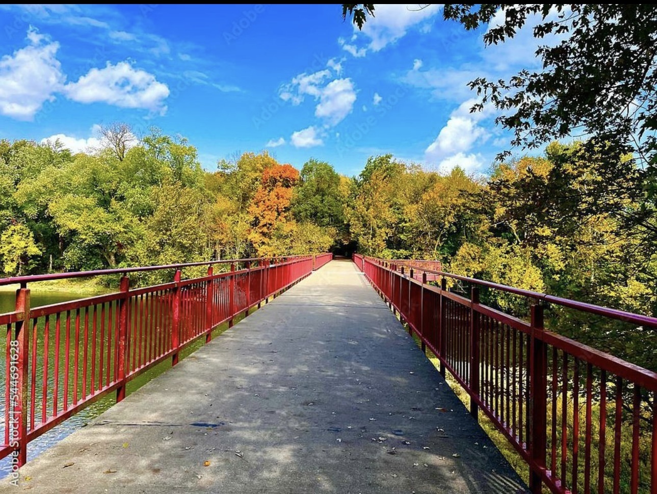 1036 Reserve Way Indianapolis, IN 46220 - Photo 7 of 34