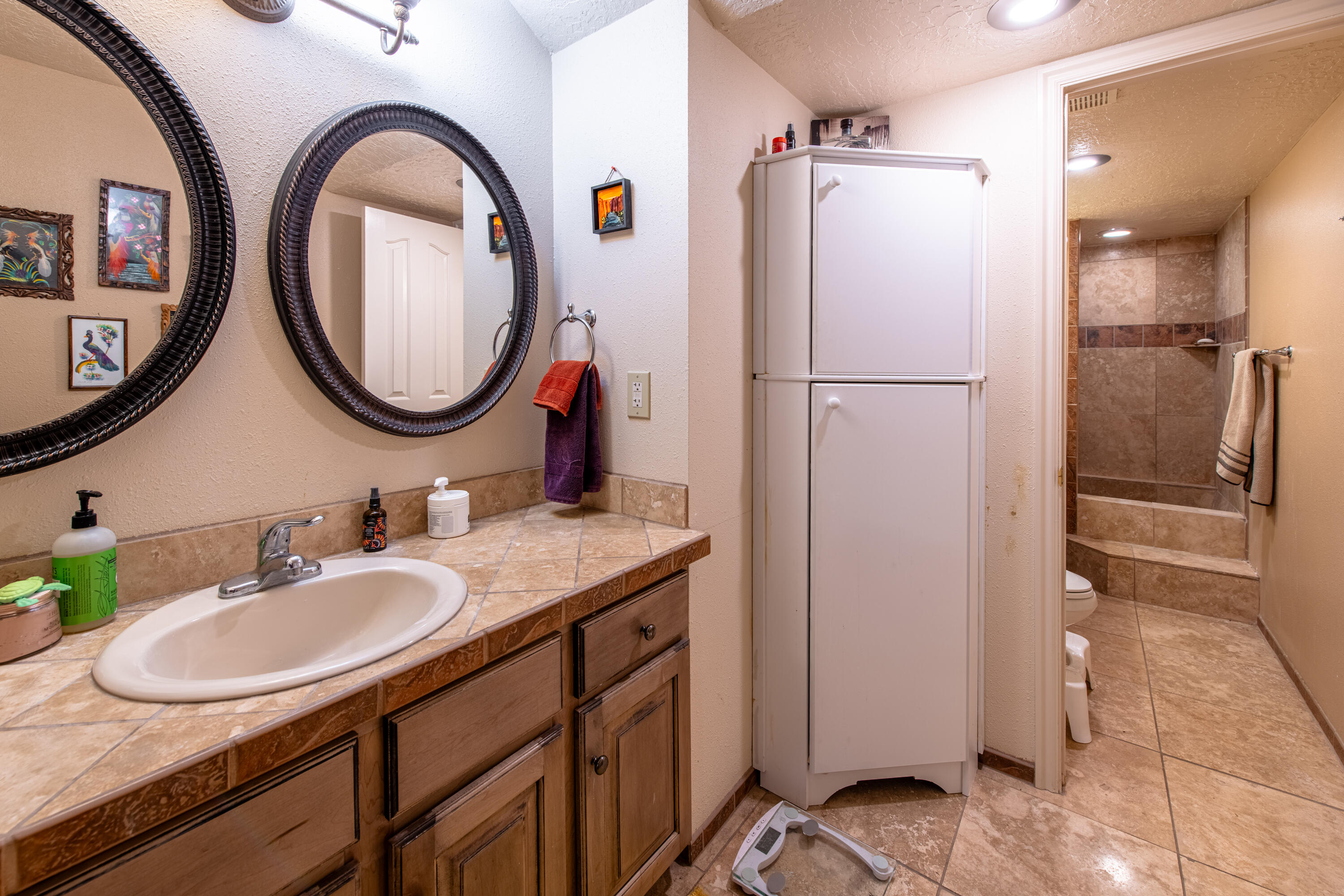 29 Canyon View Drive Springdale, UT 84767 - Photo 50 of 67 basement main bath#1
