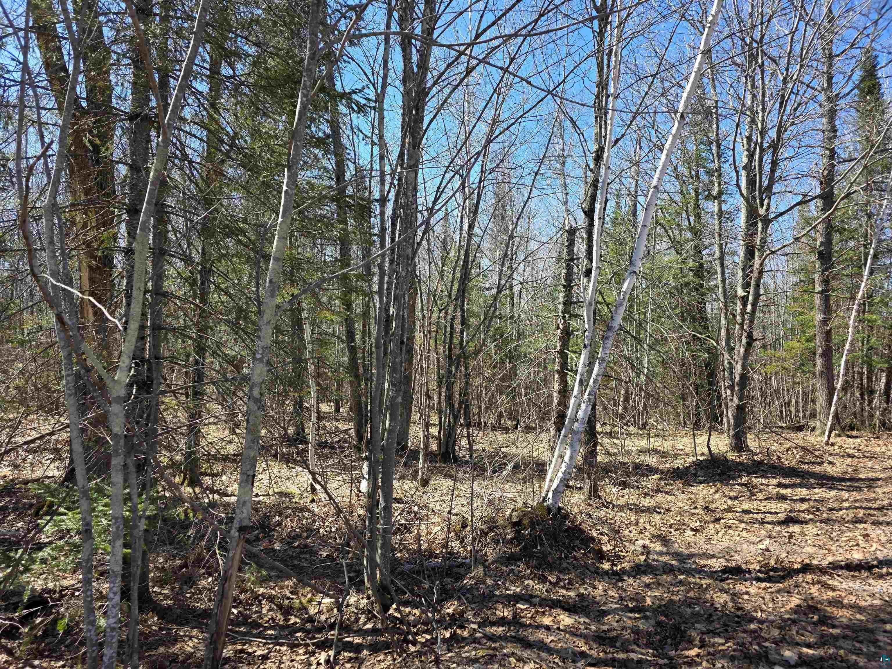 Xxx Stark Road Cloquet, MN 55720 - Photo 3 of 13