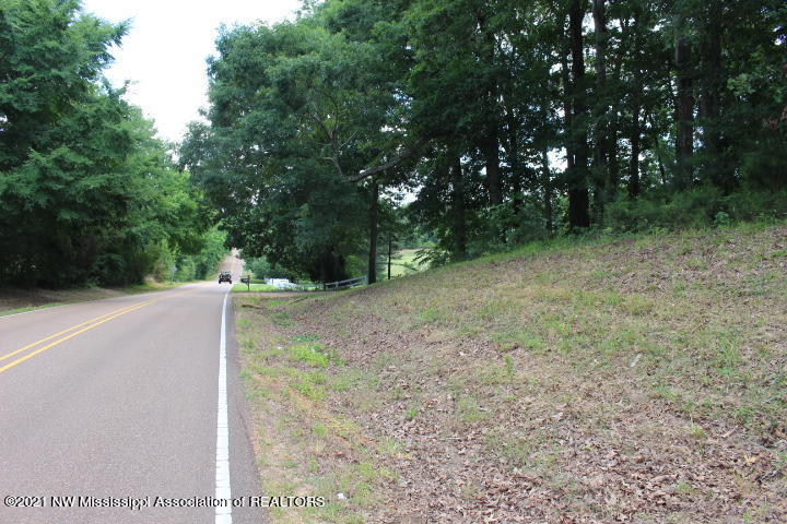 1 Alphaba Road Coldwater, MS 38618 - Photo 1 of 6 IMG_6122