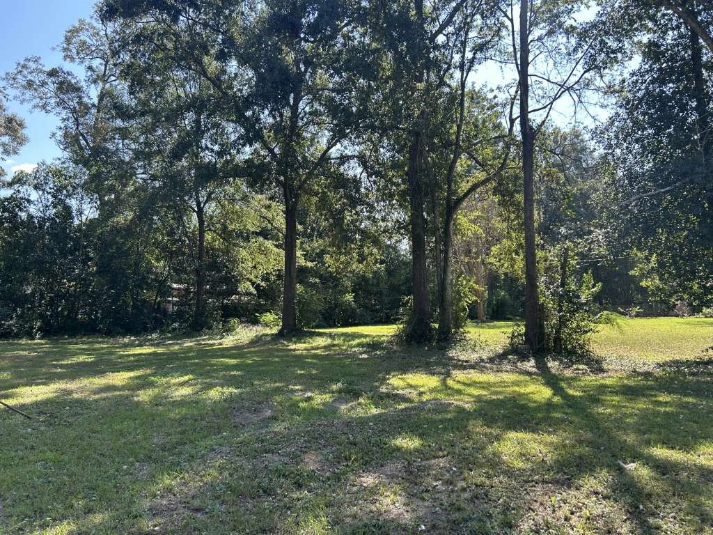 868 South Main Street Jasper, TX 75951 - Photo 2 of 2 a view of a yard with a tree