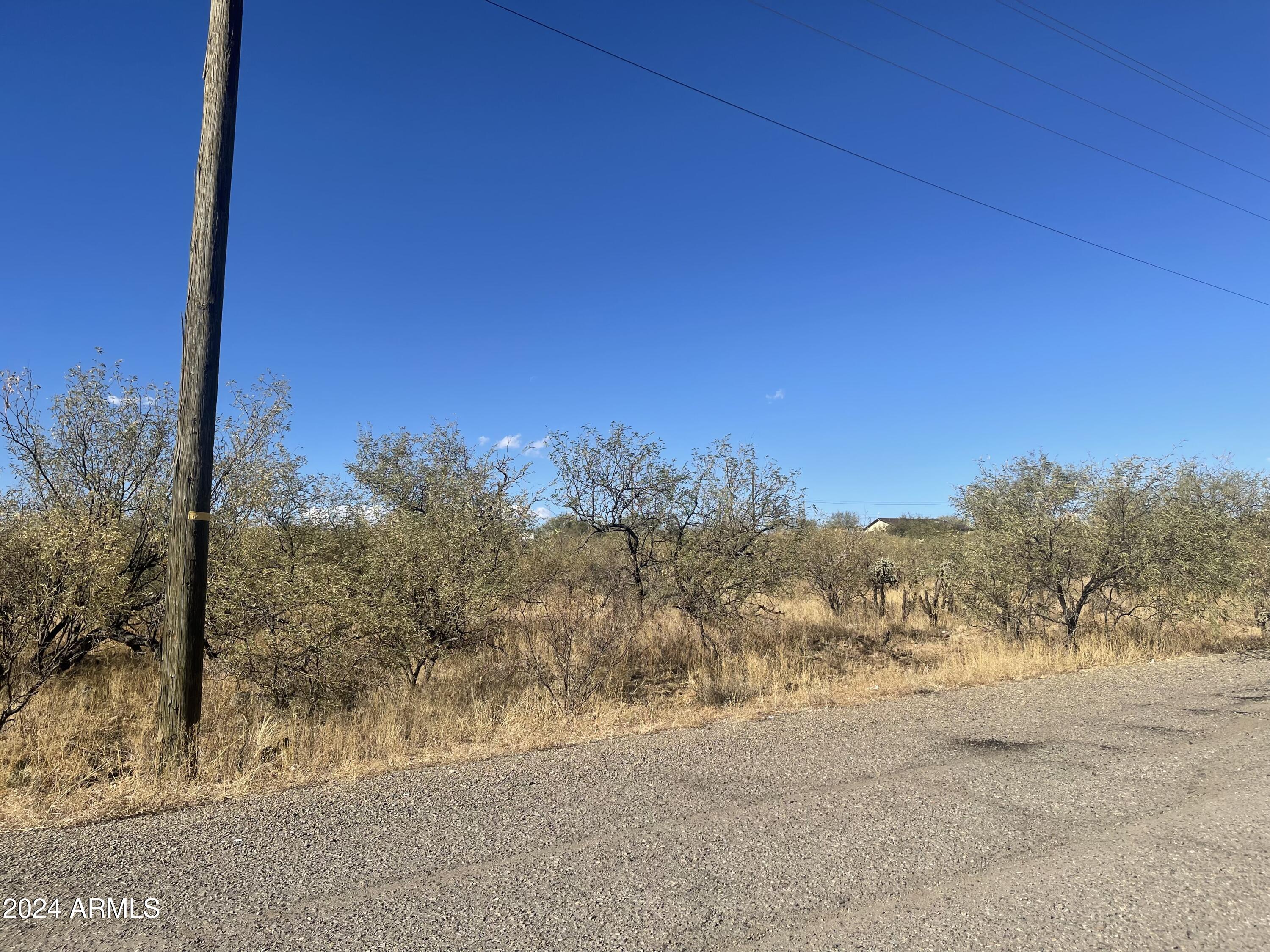 80 Paseo Australia, Unit 11 Rio Rico, AZ 85648 - Photo 4 of 7 a view of a yard with a tree