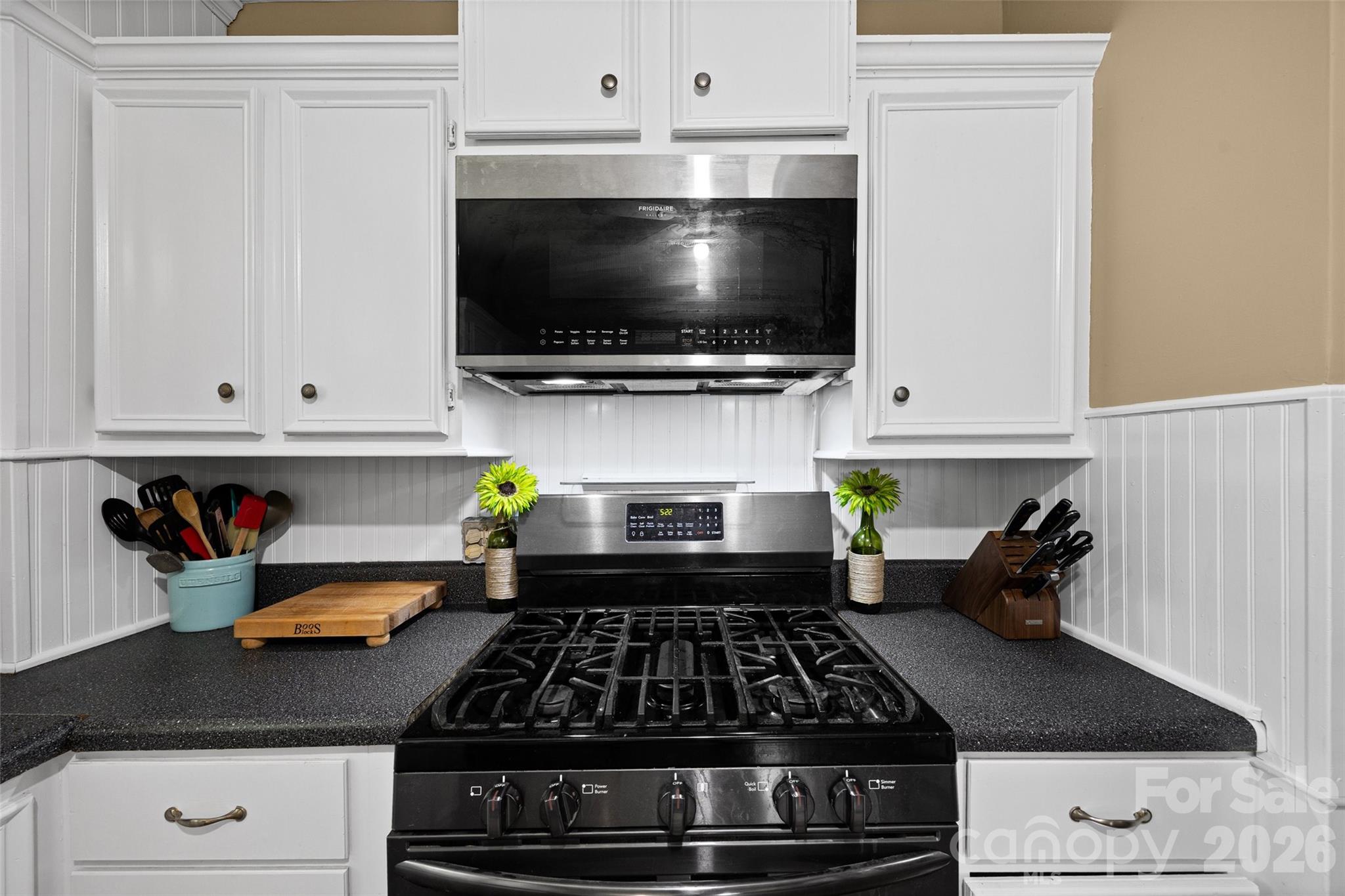 313 Jackson Street Fort Mill, SC 29715 - Photo 11 of 24 Gallery Image 11