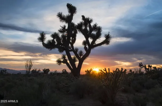 a view of a city with mountains in the background