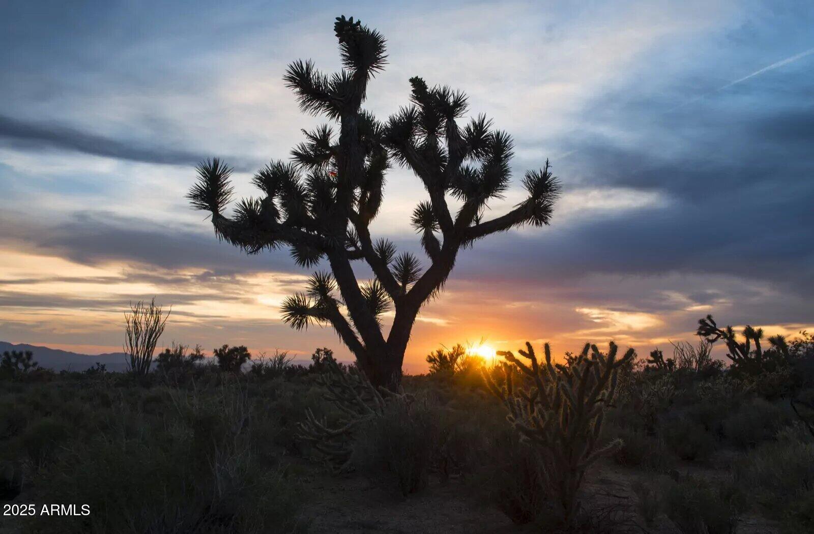 0 Carmen Road Yucca, AZ 86438 - Photo 3 of 5