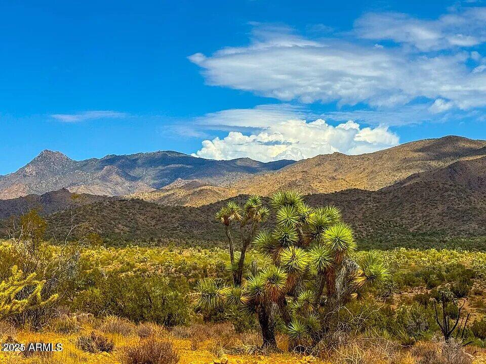 0 Carmen Road Yucca, AZ 86438 - Photo 5 of 5 a view of a city with mountains in the background