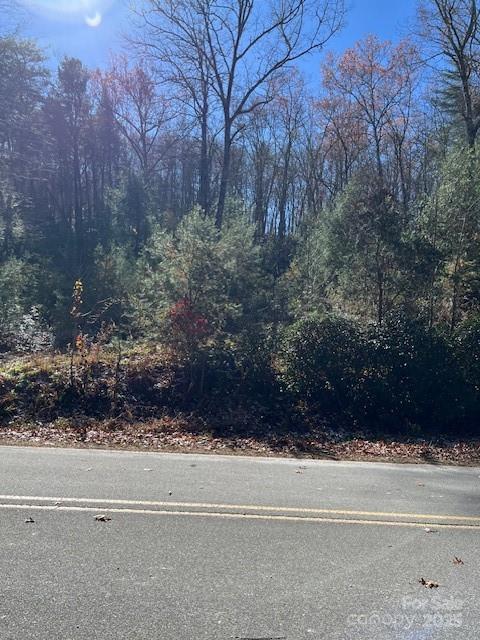 Tbd Kitchen Loop Road Lake Toxaway, NC 28747 - Photo 2 of 8 a view of a yard and a yard