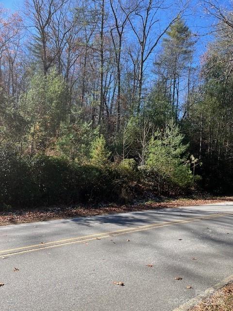 Tbd Kitchen Loop Road Lake Toxaway, NC 28747 - Photo 3 of 8 a view of a yard