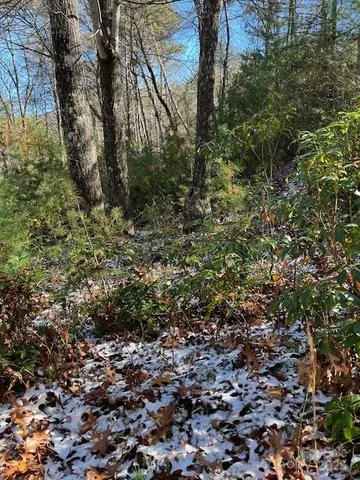 a view of a large yard with lots of bushes
