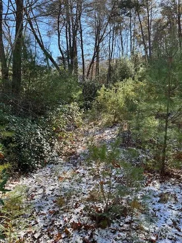 a view of backyard with green space