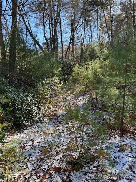 Tbd Kitchen Loop Road Lake Toxaway, NC 28747 - Photo 8 of 8 a view of backyard with green space