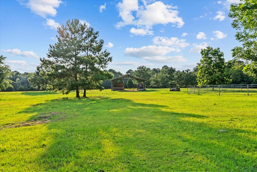 3115 Cumbie Road Newton, AL 36352 - Photo 52 of 61