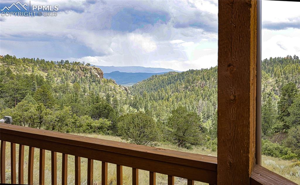 62 Cheyenne Road Florissant, CO 80816 - Photo 32 of 50