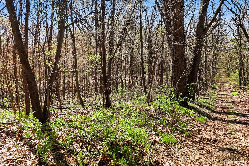 8815 Milford Road Holly, MI 48442 - Photo 21 of 52