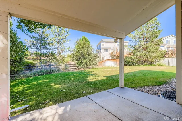 a view of a garden with a large tree
