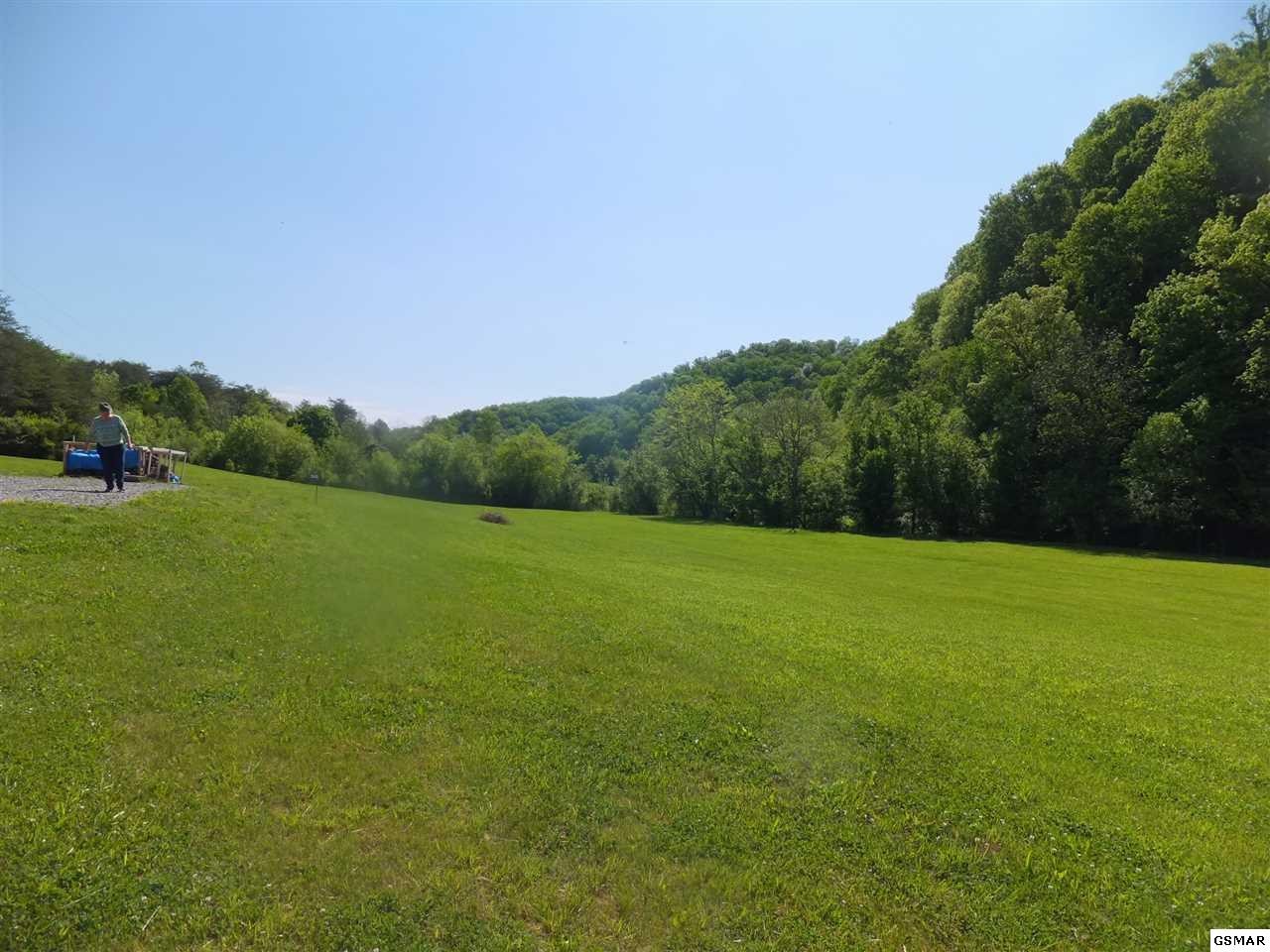 889 Marshall Hollow Road Bybee, TN 37713 - Photo 2 of 24 Gallery Image 2