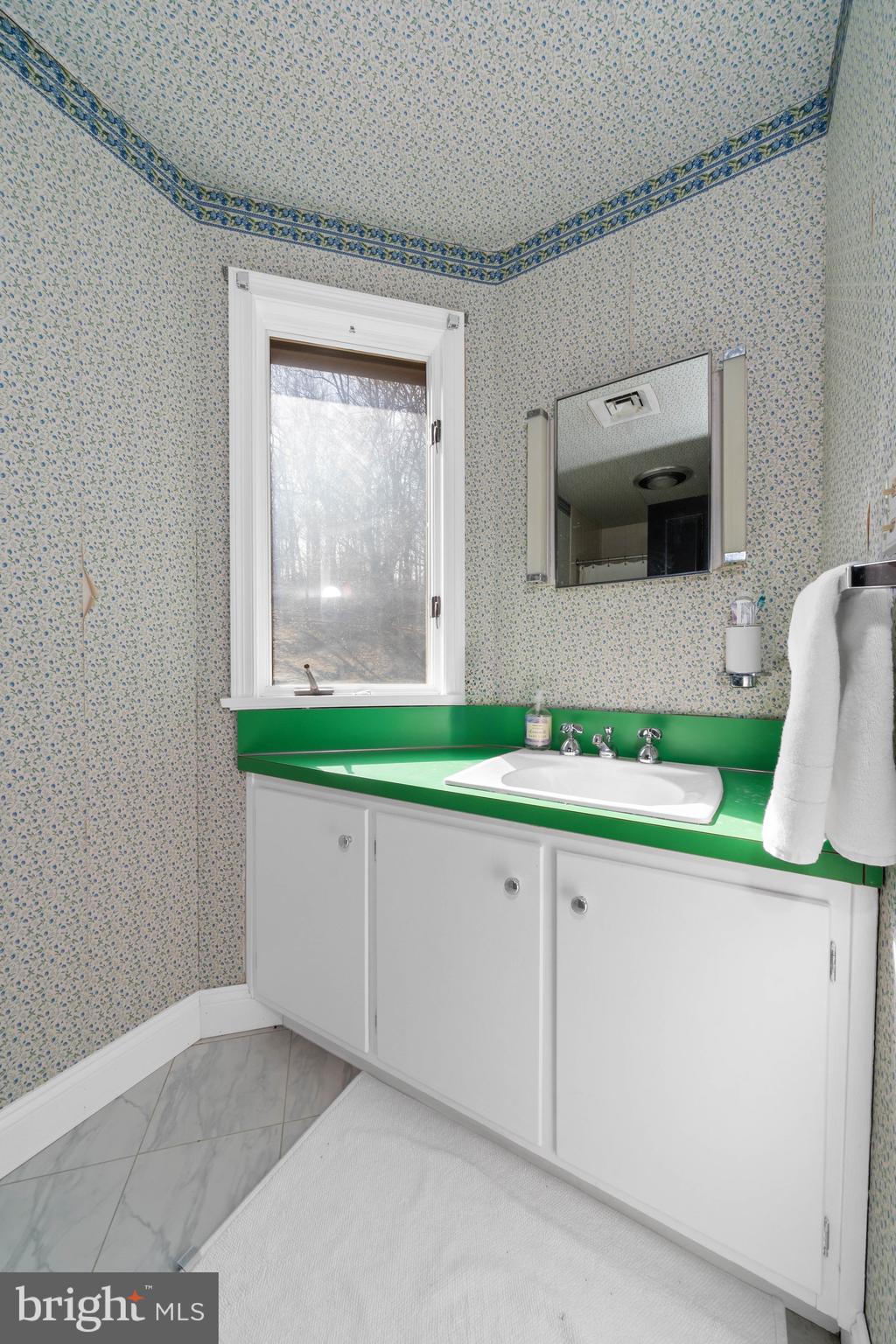 3930 Thompsons Bridge Road Wilmington, DE 19807 - Photo 46 of 69 a bathroom with a sink and a mirror