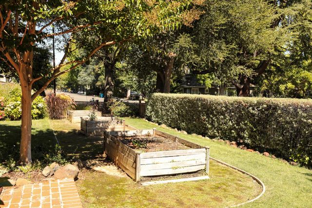 a view of a yard with large trees