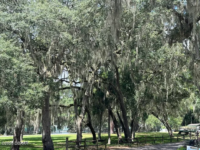 $85,000 | 25378 Northeast 139th Street, Salt Springs, FL 32134