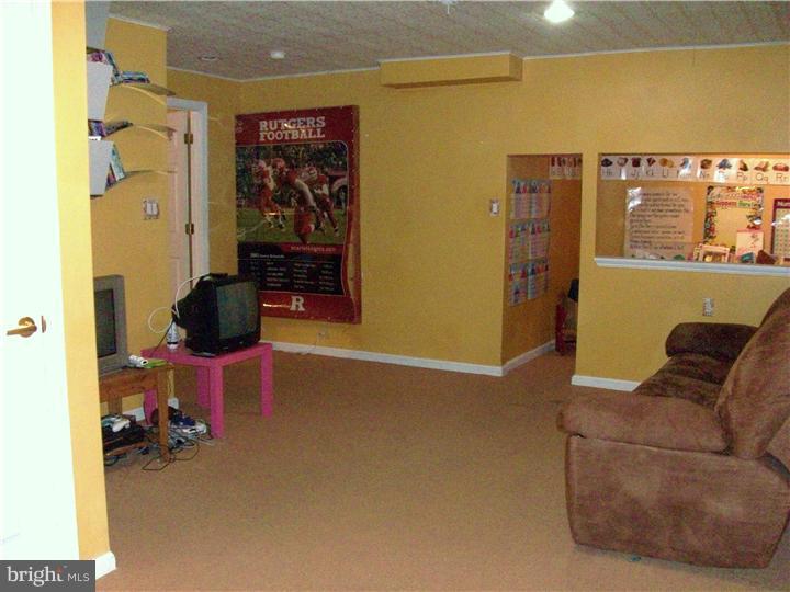 19 Riding Run Drive Marlton, NJ 08053 - Photo 17 of 20 Basement - Finished