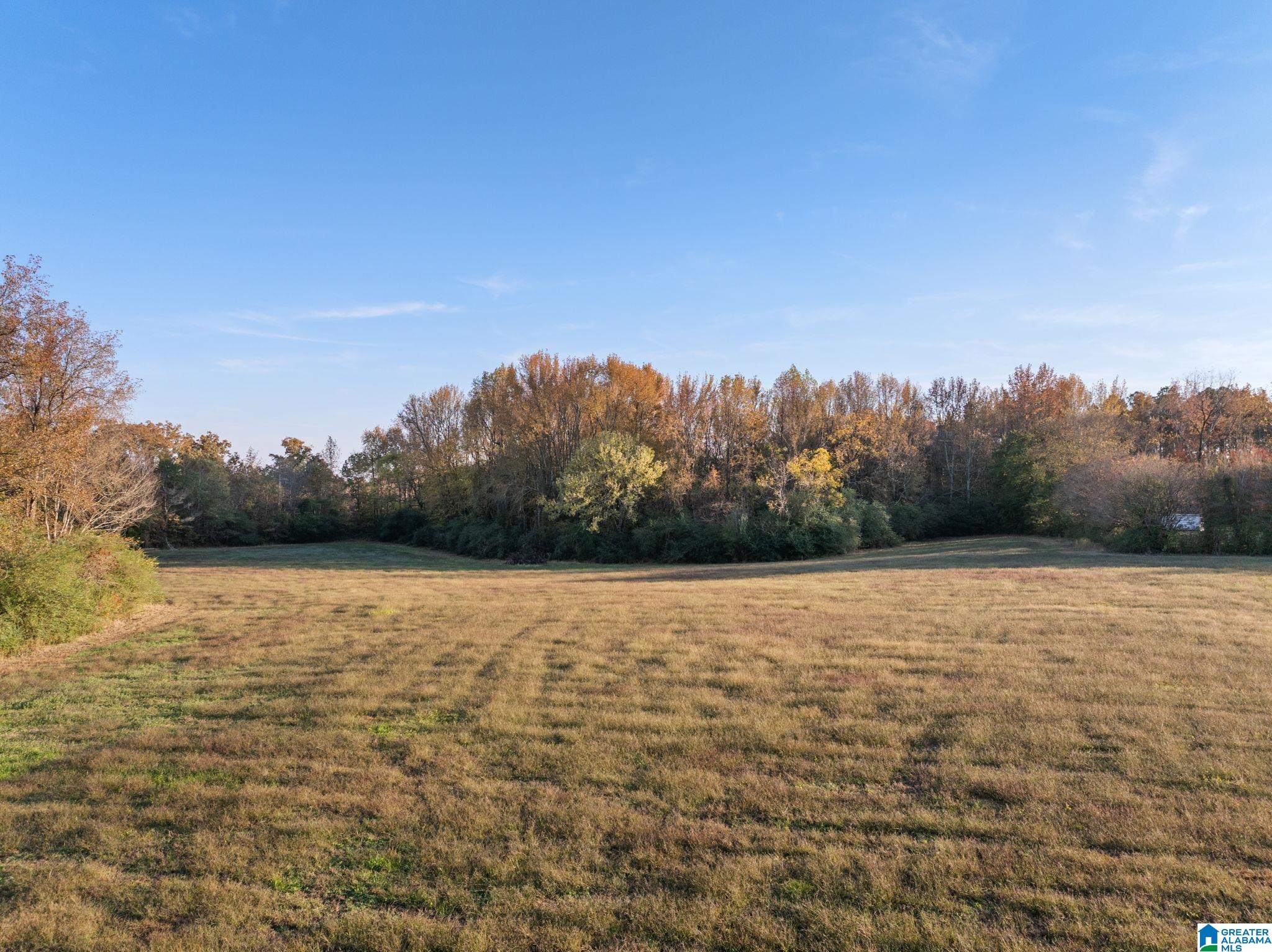 2986 Eva Road Eva, AL 35621 - Photo 22 of 32