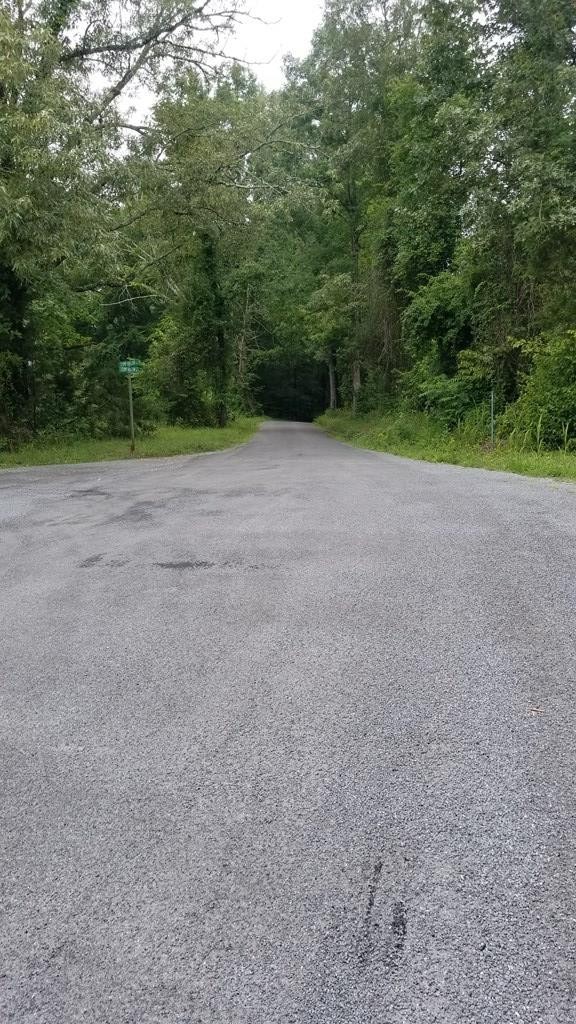 1270 Stump Hollow Road Spring City, TN 37381 - Photo 2 of 15 Gallery Image 2