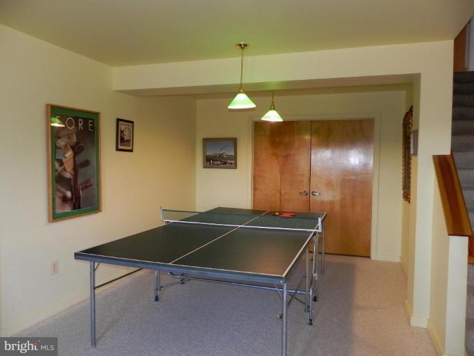 40129 Thomas Mill Road Leesburg, VA 20175 - Photo 13 of 28 Recreation Room #3