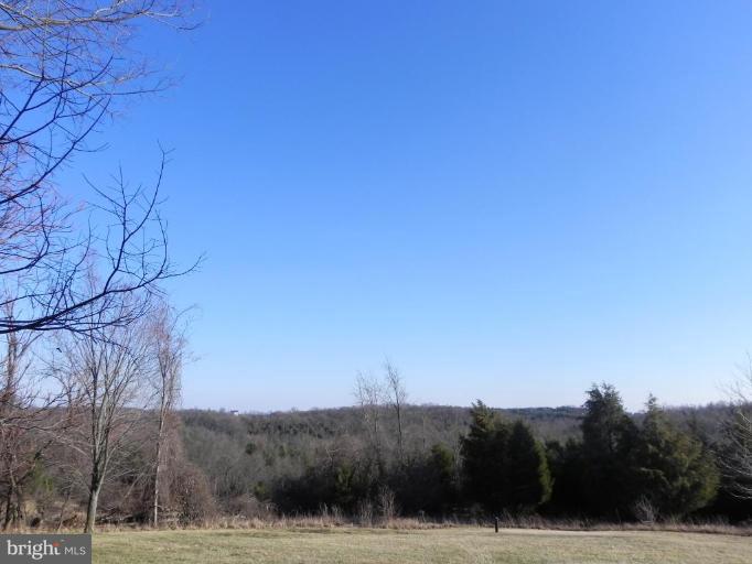 40129 Thomas Mill Road Leesburg, VA 20175 - Photo 19 of 28 Wooded View / Acreage