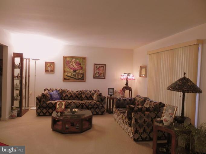 40129 Thomas Mill Road Leesburg, VA 20175 - Photo 25 of 28 Living Room #2