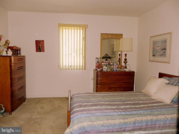 40129 Thomas Mill Road Leesburg, VA 20175 - Photo 9 of 28 Bedroom #2