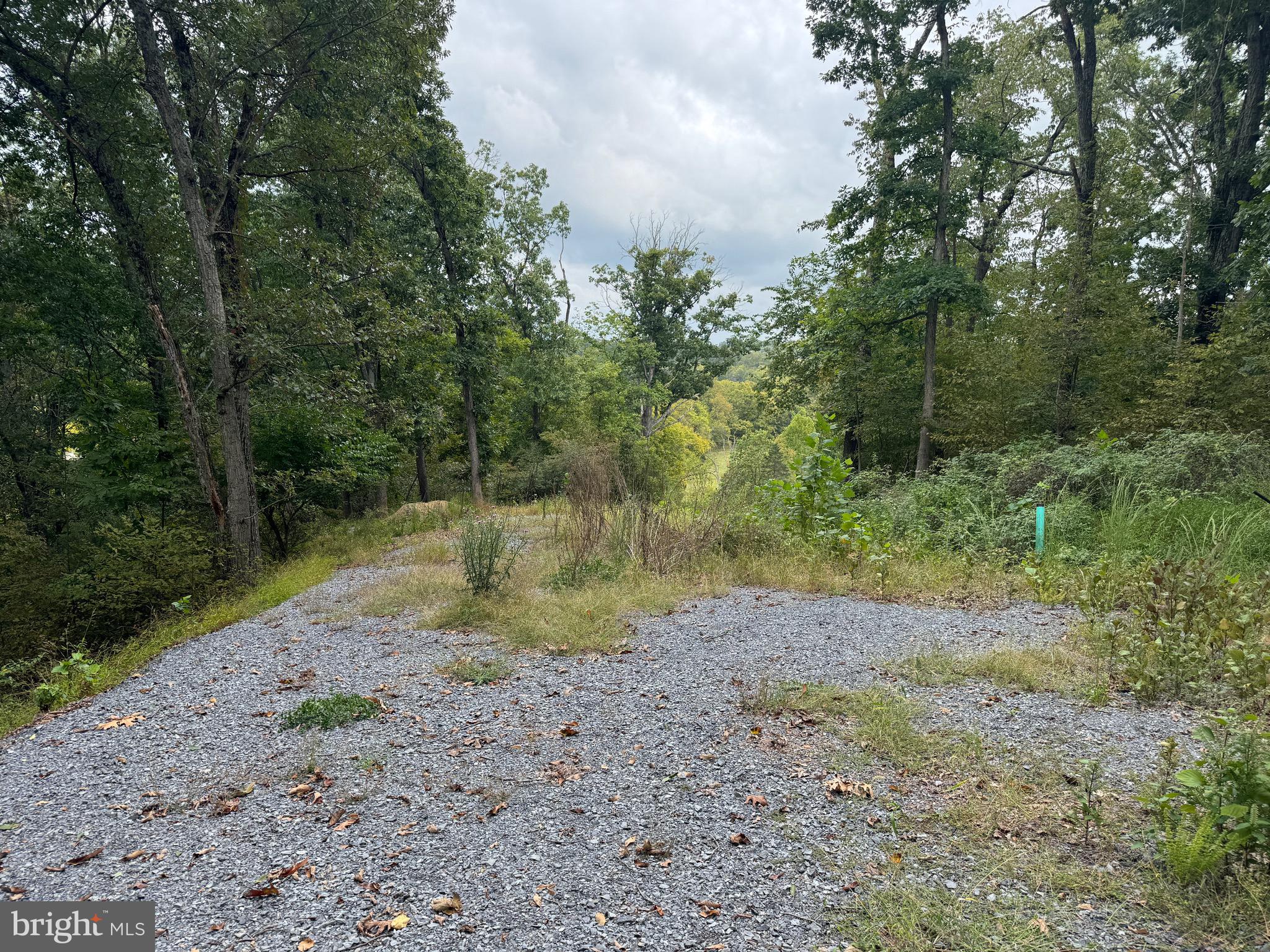 0 Strobridge Road Inwood, WV 25428 - Photo 1 of 11