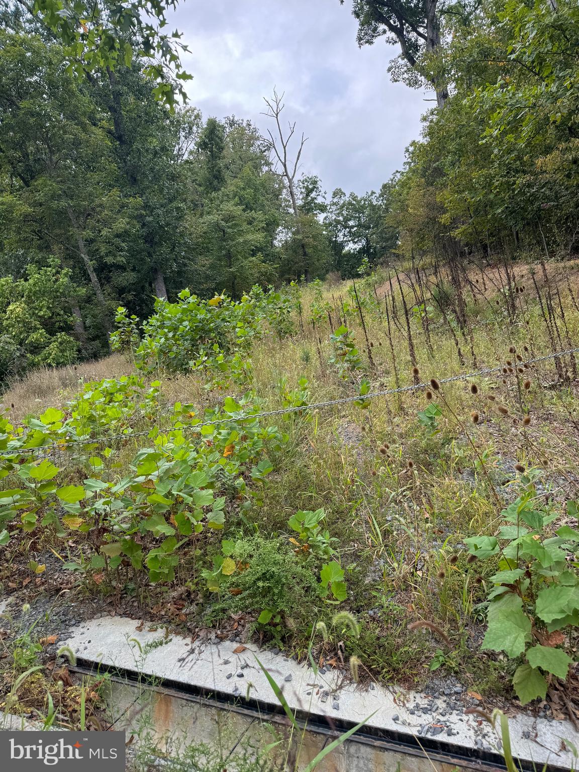 0 Strobridge Road Inwood, WV 25428 - Photo 3 of 11