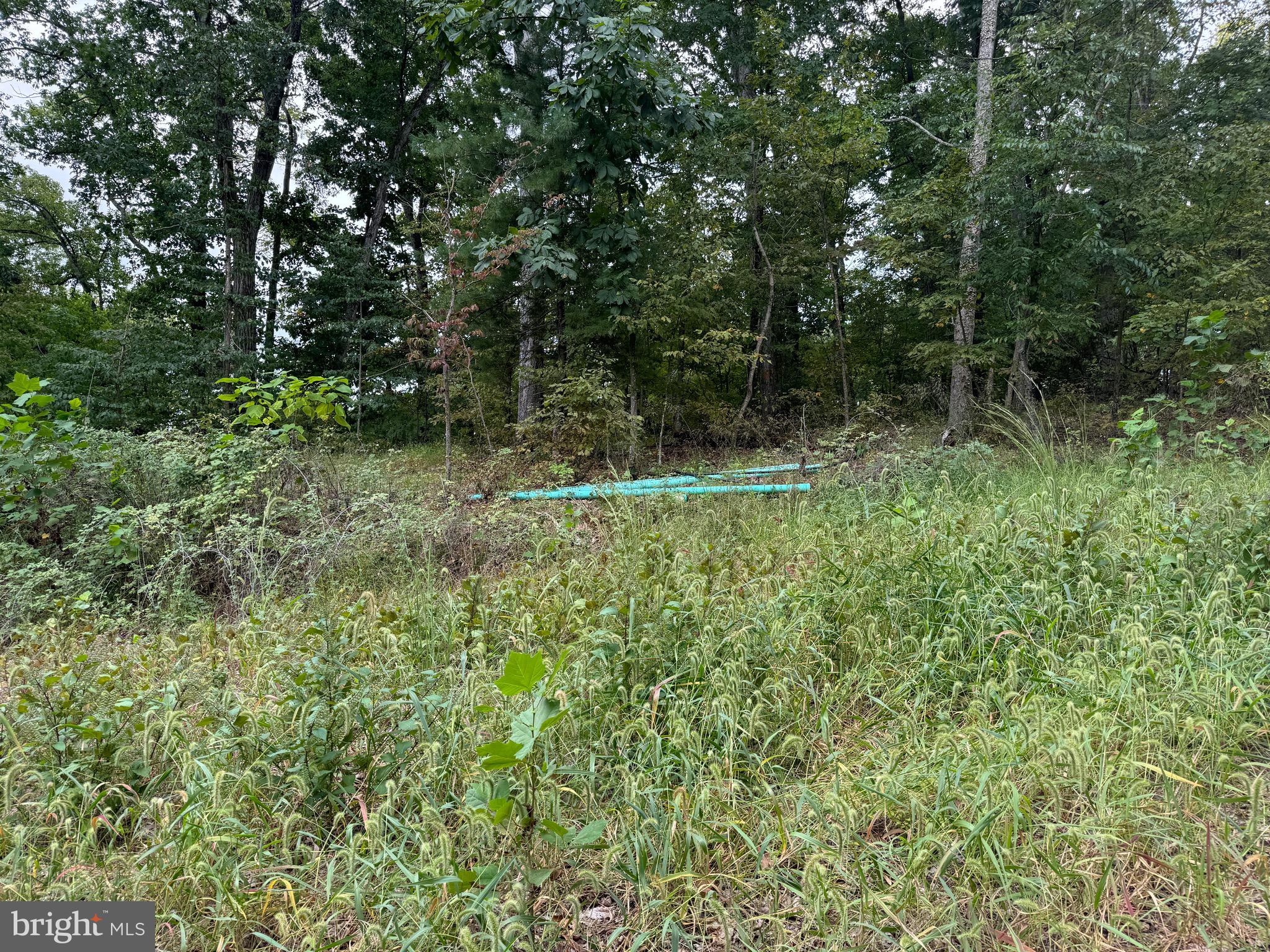 0 Strobridge Road Inwood, WV 25428 - Photo 4 of 11