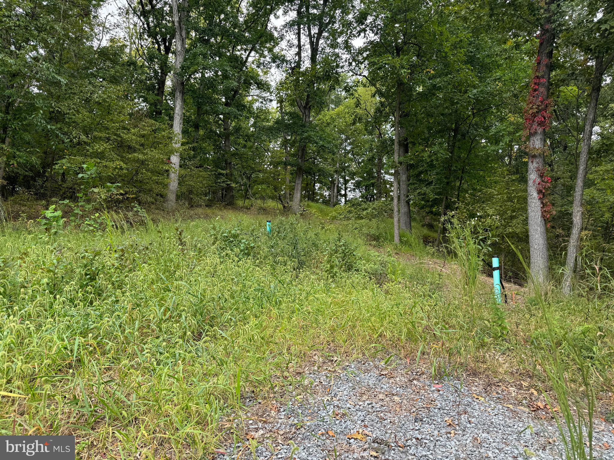 0 Strobridge Road Inwood, WV 25428 - Photo 6 of 11