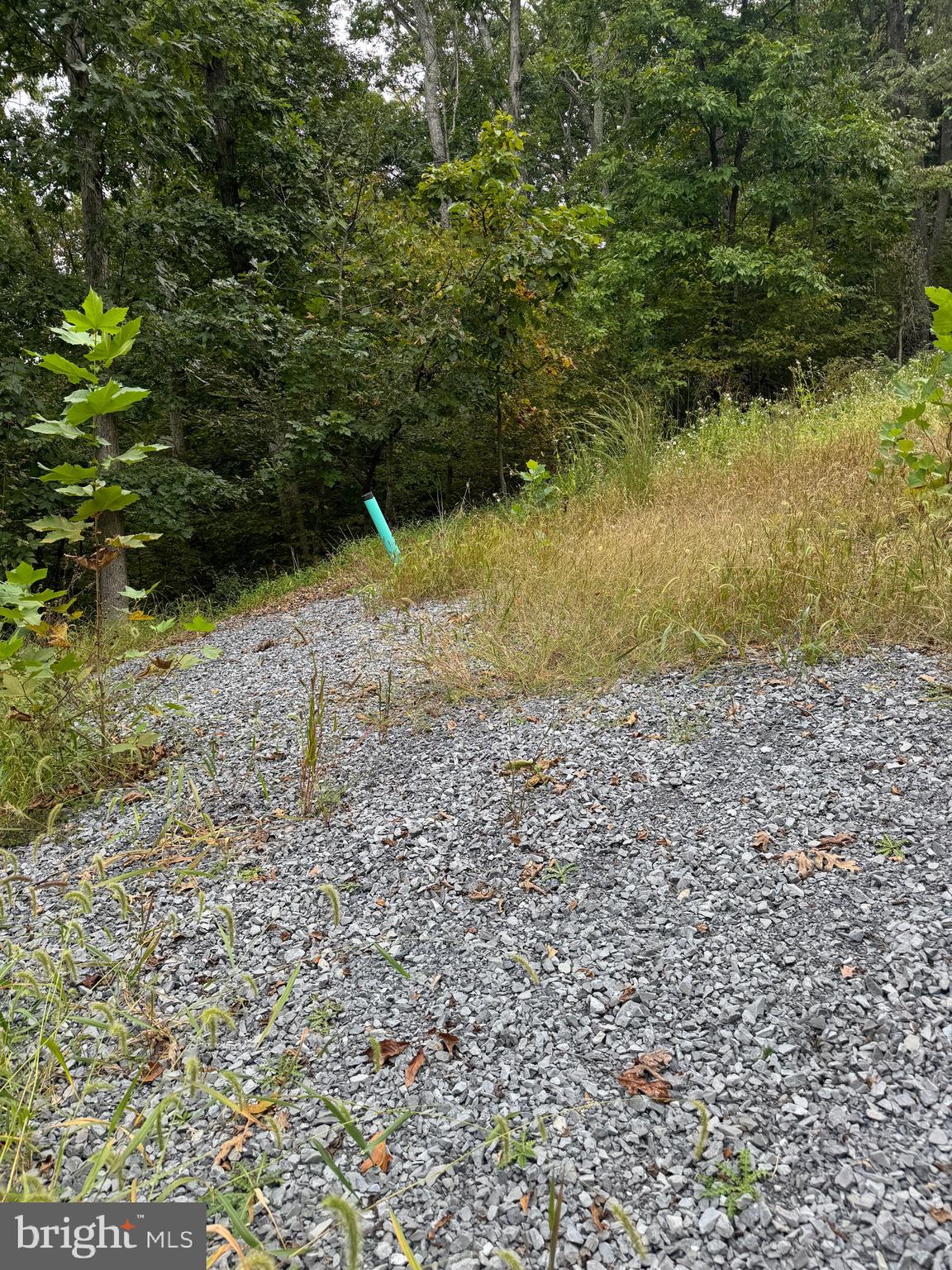 0 Strobridge Road Inwood, WV 25428 - Photo 8 of 11