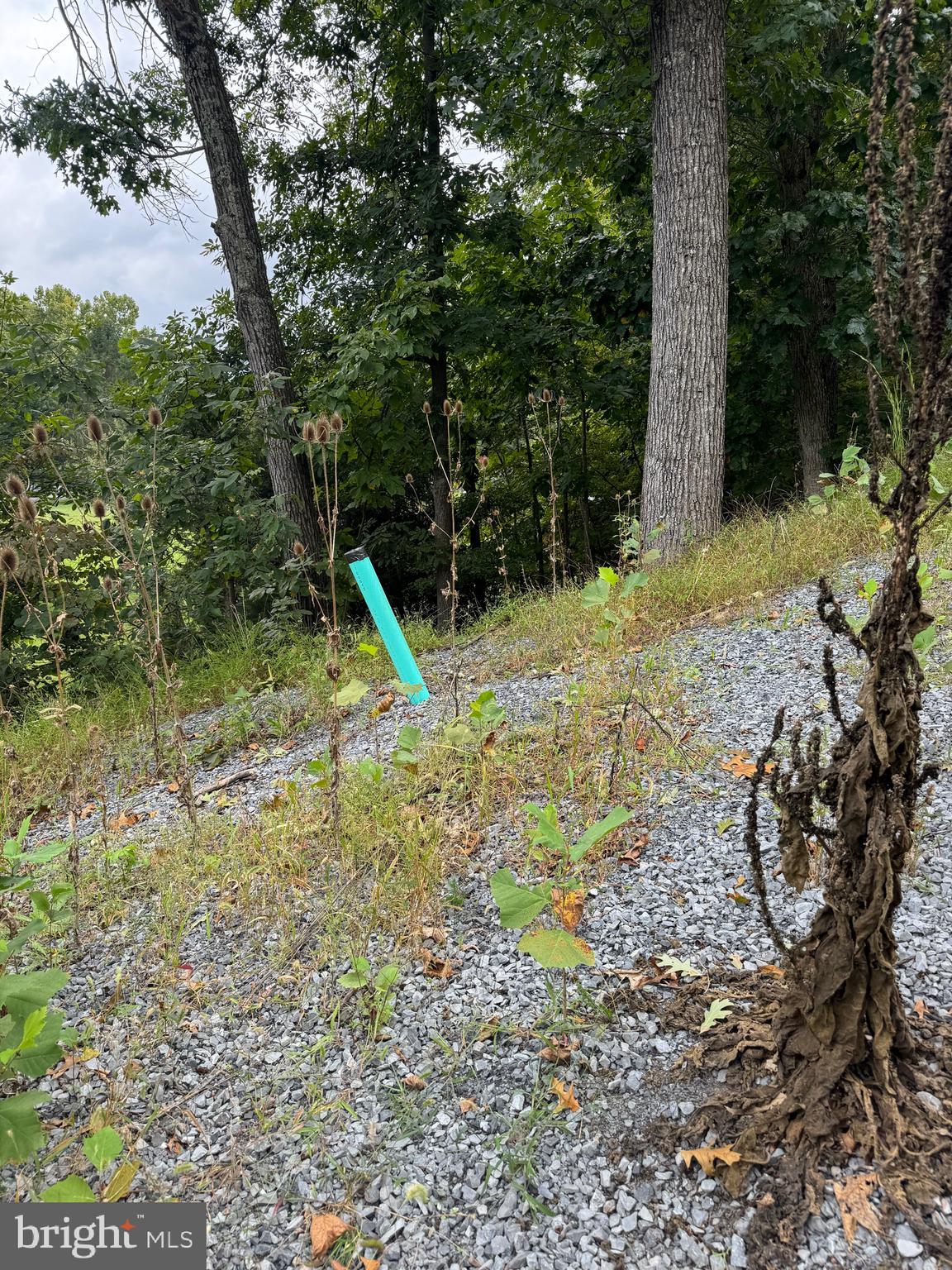 0 Strobridge Road Inwood, WV 25428 - Photo 9 of 11