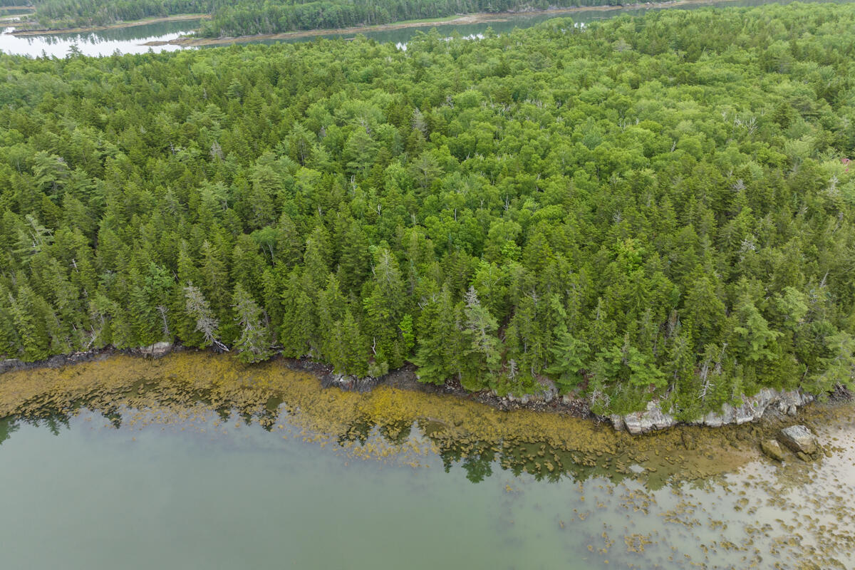 Lot 27 Coffins Neck Road Lubec, ME 04652 - Photo 7 of 27 22-Lot 27 Coffins Neck Road LoRes-DTP