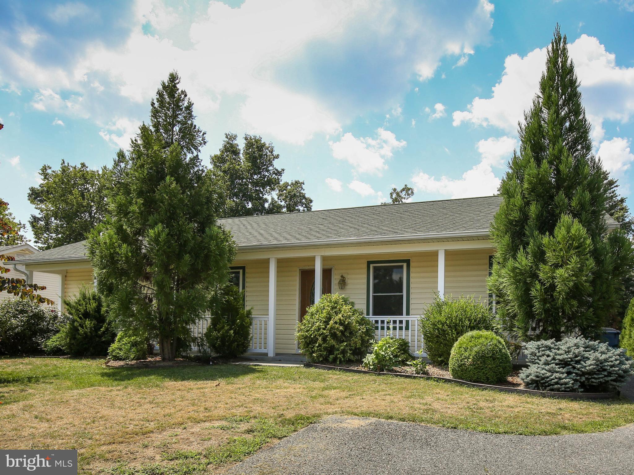 202 Woodrow Road Winchester, VA 22602 - Photo 3 of 33 Plenty of parking and custom landscaping