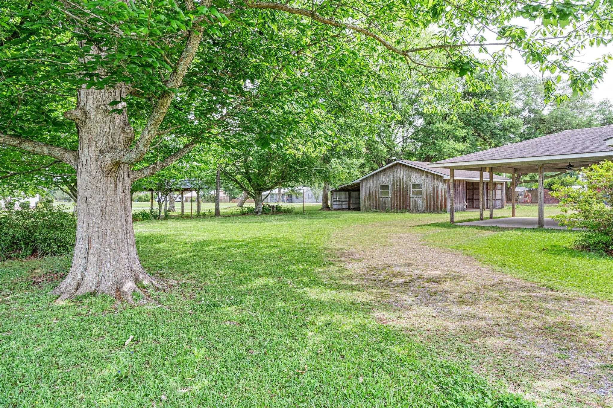 22252 Buck Road Robertsdale, AL 36567 - Photo 8 of 23
