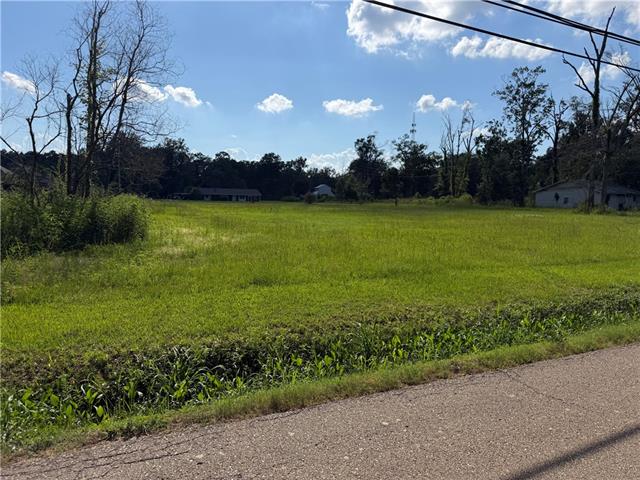 41525 Yokum Road Ponchatoula, LA 70454 - Photo 1 of 3
