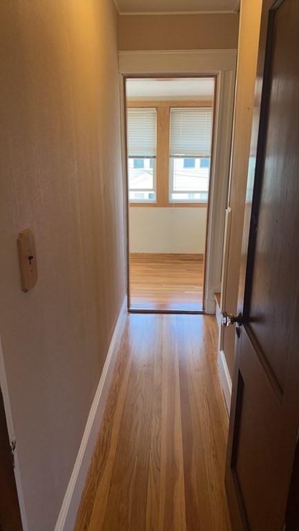 48 Trapelo Street, Unit 2 Boston, MA 02135 - Photo 20 of 30
